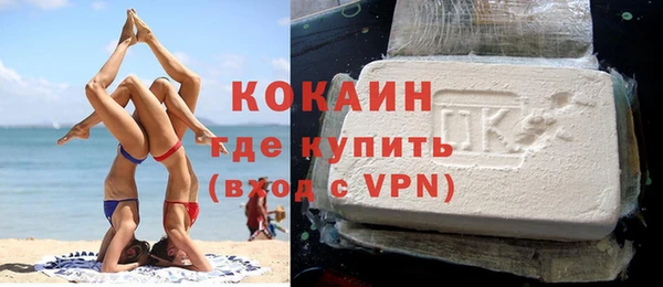 крисы Каменка