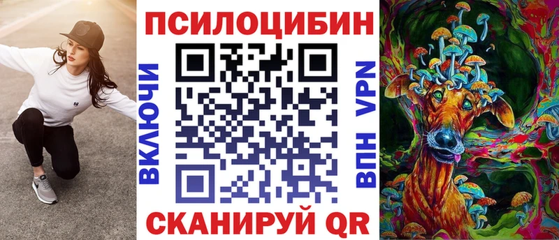 где можно купить наркотик  Каменск-Уральский  Галлюциногенные грибы Cubensis 